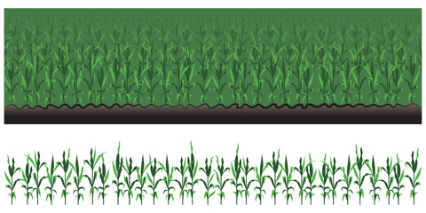 Corn Field Seamless Vector Border  © Anna Repp