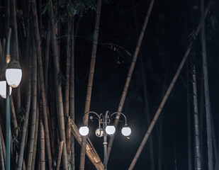 time lapse footage of a light bulb and wood