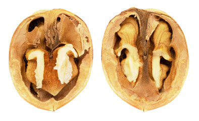 Shelled walnuts on a white background