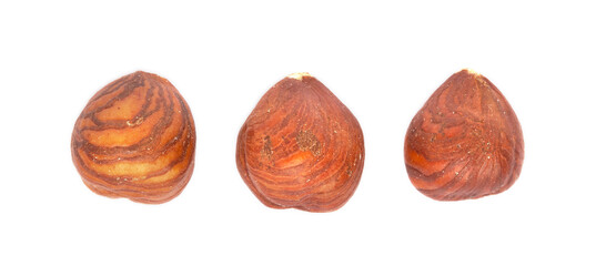 Three hazelnuts on a white background