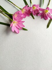 bouquet of flowers
