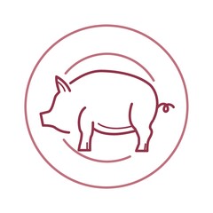 pig