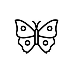 Obraz premium Butterfly, insect icon. Simple line, outline vector elements of lepidoptera icons for ui and ux, website or mobile application