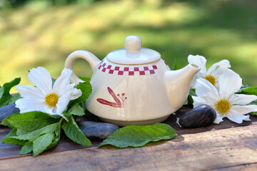 pretty teapot among fresh mint leaf and white flowers on a wooden table in garden