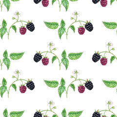 watercolor seamless pattern with drawing branch of blackberry