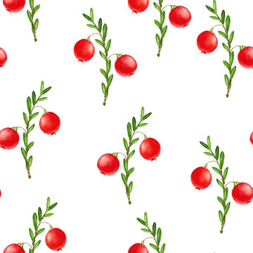 watercolor seamless pattern with berries of cranberry