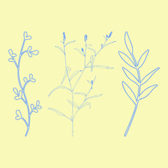 Leaves and plants hand drawn flat illustration. Botanical design elements. Vector sketch clip art set.
