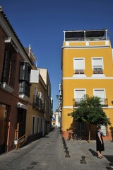 An old narrow street in summer Seville