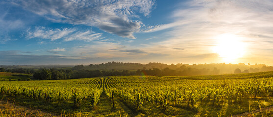 Sunset landscape, Bordeaux wineyard, Langoiran, france - Powered by Adobe