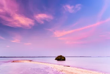 Foto op Canvas Sunset Sky along Yas Public Beach in Abu Dhabi, UAE © Michael