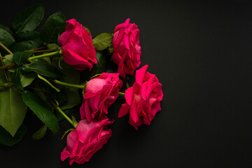 Fototapeta na wymiar Bright pink rose, with a large Bud