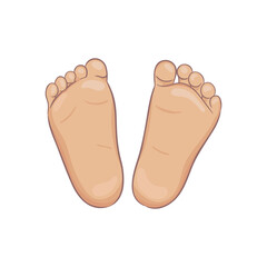 Pair of newborn baby foot soles, bottom view. Tiny plump feet with cute heel and toes. Realistic caucasian skin colours. Vector illustration, hand drawn cartoon style, isolated on white.