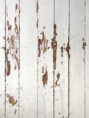Old and worn white wooden floorboards.