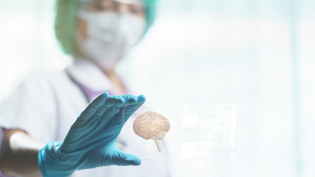 Doctor hand hold transparent tablet display showing brain in screen