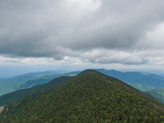 日本百名山、新緑の恵那山を上空から眺めて