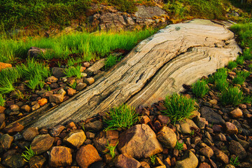 Big stone on the beach, summer view of the White sea coast.