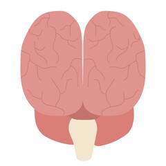 Image of the human brain. Vector image, eps 10