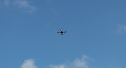 Drone in flight above the crowns of trees