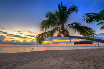 Fototapeta premium Beautiful sunset on the beach of Ko Kho Khao island with palm trees, Thailand