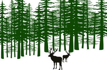 deer in forest