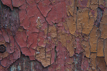 brown cracked wood texture. Painted wood. Brown background. Brown wood background