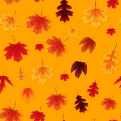 Obraz na płótnie Canvas Autumn Leaves Seamless Pattern Background Vector Illustration
