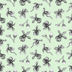  Seamless pattern of orchids on a green background.Floral pattern in pastel colors. design of postcards, paper, textiles