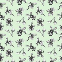  Seamless pattern of orchids on a green background.Floral pattern in pastel colors. design of postcards, paper, textiles