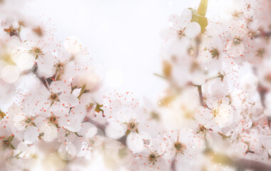 Floral background in pastel colors. Romantic spring soft background. unfocused, strongly blurred