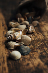 Macro photo. Sea shells are poured out of the bag. Rustic wooden background. Atmospheric photo of seashells.