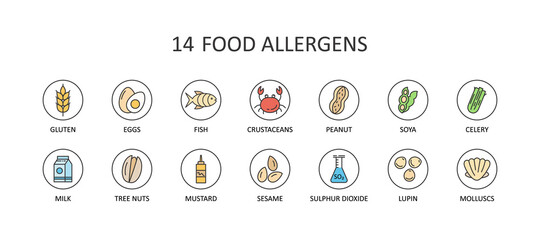 Fototapeta 14 food allergens. Round colored vector icons with editable stroke. Gluten free milk eggs celery sesame nuts. Fish molluscs crustaceans soybean lupins. Chemical constituents of sulphur dioxide obraz