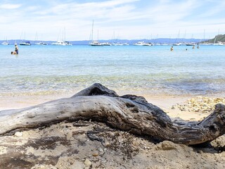 Obraz premium Île de Porquerolles à Hyères, calanques rocher et belle plage de sable blanc, plus bel endroit d'europe, balade en vélo, chaleur d'été, destination favorite, voyage à la mer côte d'azur, touriste