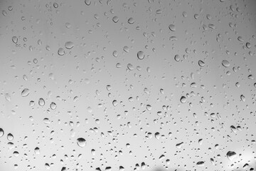 arge raindrops on grey glass, black and white gradient background