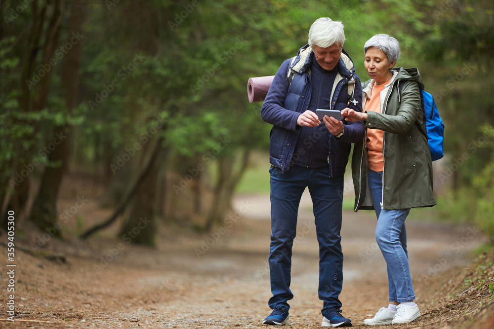 Wall mural full length portrait of active senior couple using navigation app via smartphone while enjoying hike