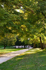 Fototapeta na wymiar Beautiful autumn alley landscape with green foliage of trees and sunlight, peaceful outdoor nature. A walking path in a public park.