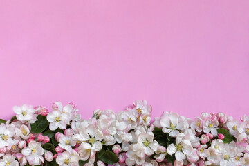 Apple blossoms on pink background. Top view. Closeup. Empty place for greetings, invitation, inspirational text, lovely quote or positive sayings. 