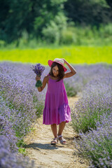 Pretty little girl walking in the flowering lavender field and gathering flowers.