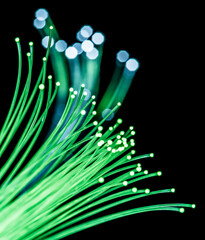 Bundle of optical fibers with green light. Black background.