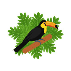 Isolated toucan illustration with tropical leaves in vector. Tropical bird illustration. 