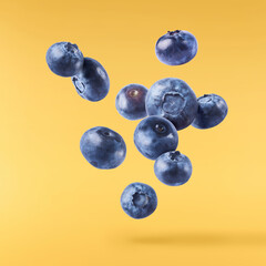 Fresh raw blueberries falling in the air.