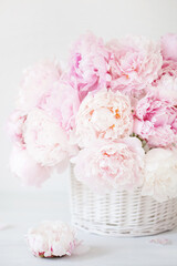 beautiful pink peony flowers bouquet in vase