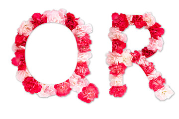 flower font alphabet Q R set (collection A-Z), made from real Carnation flowers pink, red color...
