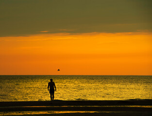 Man walking near the sea at sunset hours.Romantic holidays. Conceptual photo of summer holidays. man and bird