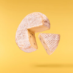 Fresh tasty cheese, high quality image