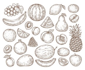 Vector set of fruits in retro style. Sketchy isolated fruits. Farming, harvest, organic products.