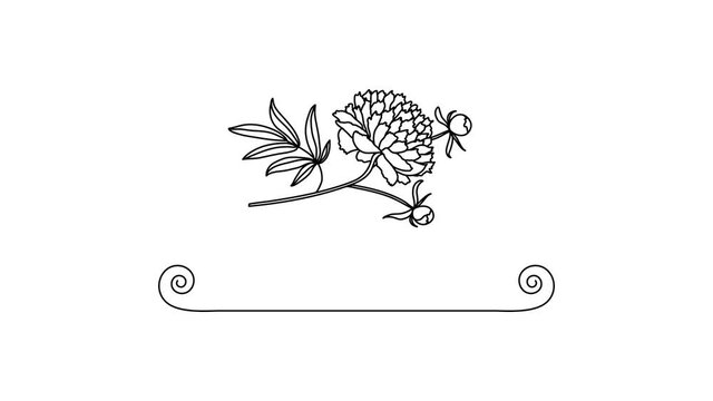 Flower animation frame for text invitations, postcards, billboards, websites, blogs, posters, blank background templates. Animation of a peony flower in frame on a white, black and green backg