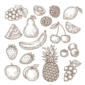 Vector set of fruits and berries in retro style. Sketchy isolated fruits and berries. Farming, harvest, organic products. 