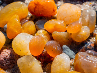 Small amber stone and pebbles on the sandy beach. Shallow wet amber washed by waves. Natural mineral at the Baltic sea coast.  Short focus.