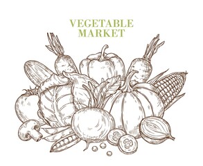 Group of vegetables in a sketchy style. Vector isolated illustration with fresh vegetables.