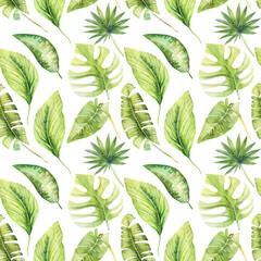 Seamless pattern of watercolor green tropical leaves of monstera, banana and palms, hand painted isolated on a white background